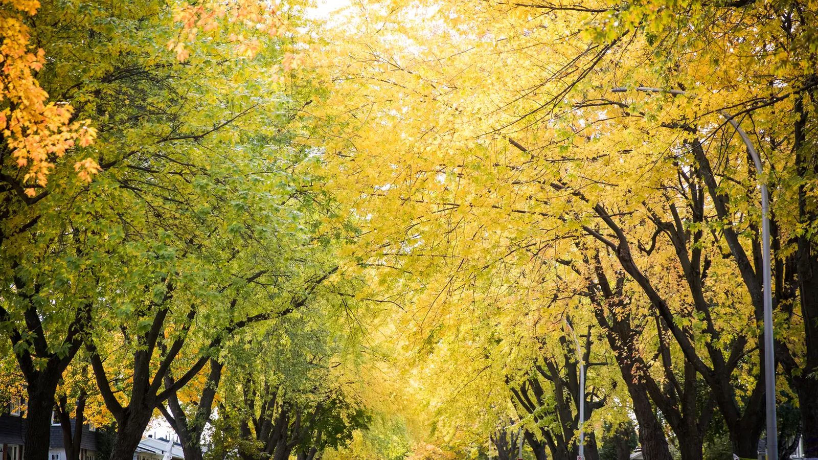 Candiac en images : un coin de la ville (Montérégie)